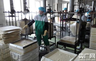 天人和 寧夏食品企業榮膺中國豆制品樣板工廠，引領健康飲食新風尚